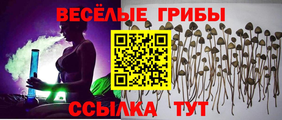 ГАШ Чита